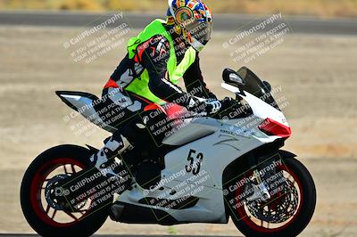 media/Sep-01-2024-Lets Ride (Sun) [[fd7c166674]]/C Group/Close Ups/